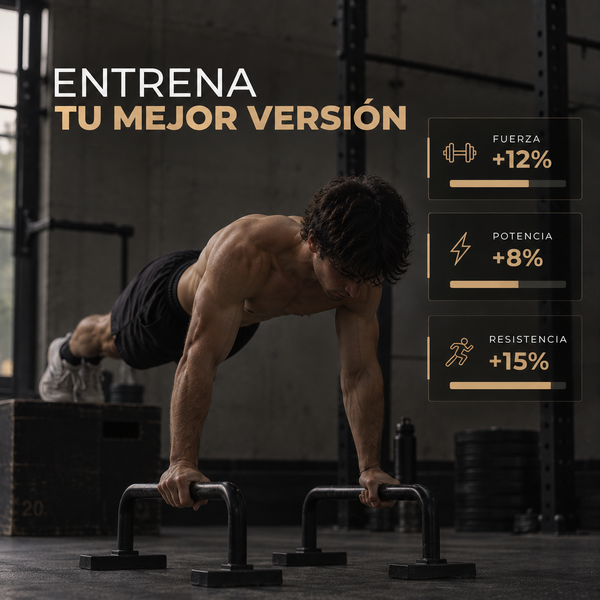 Entrenamiento personalizado