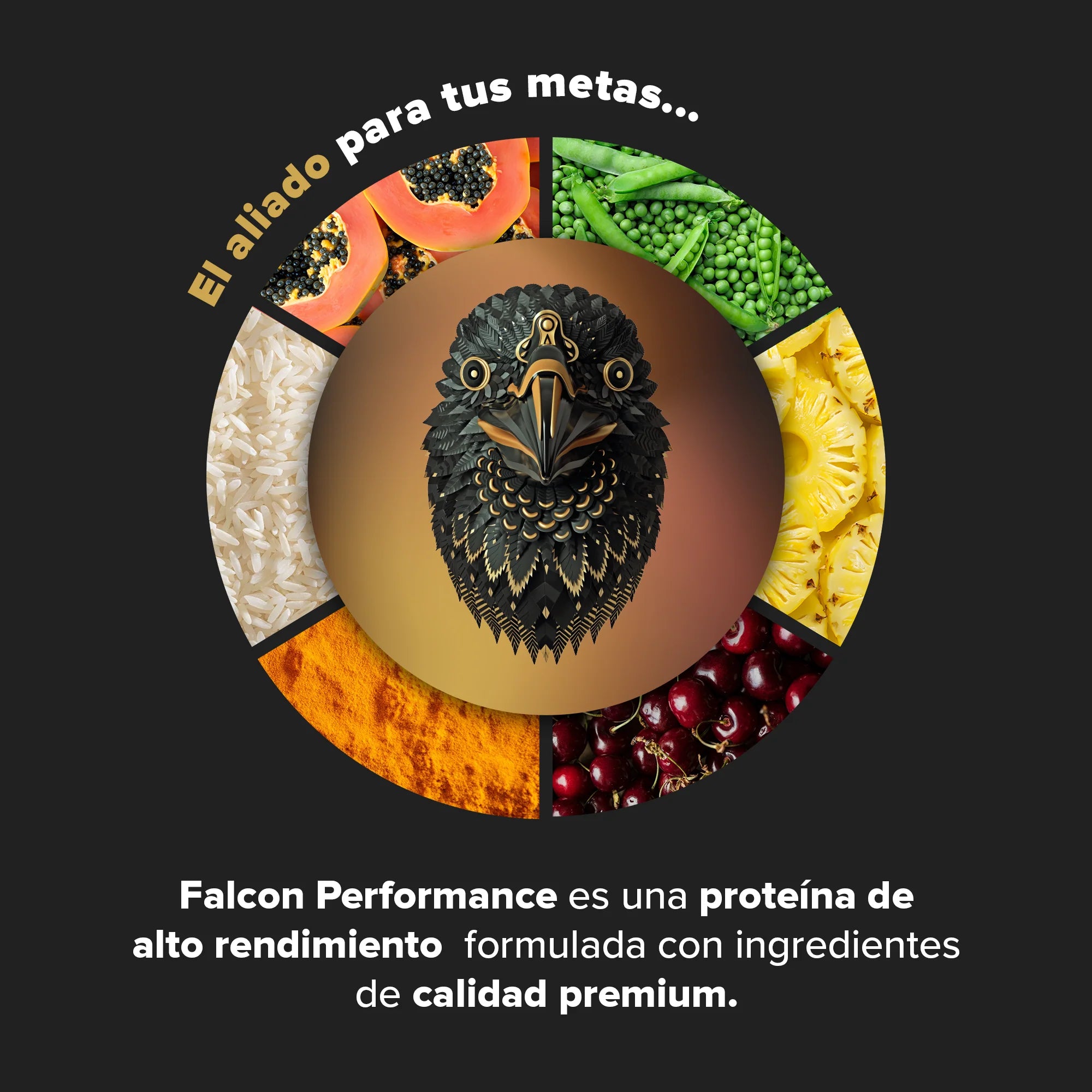 Proteína Falcon Performance 1.14 kg (30 servicios)